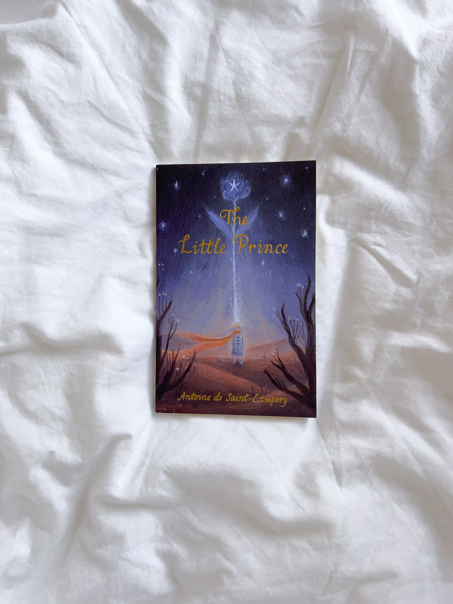 The Little Prince