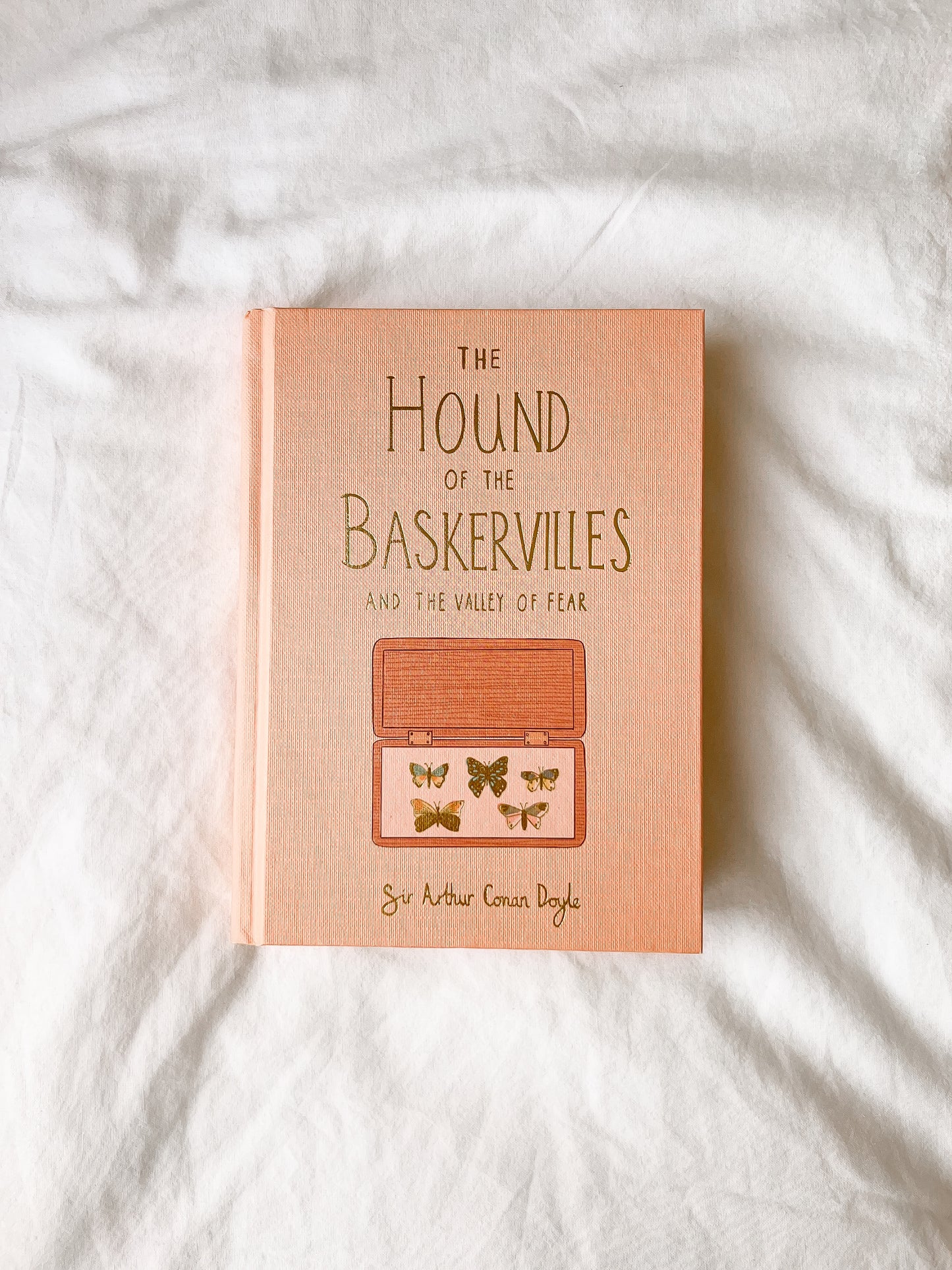 The Hound Of The Baskervilles